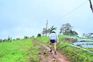 BIB: 1432
                            <button type="button" onclick="openModal(13378638)" class="btn btn-primary btn-sm float-right btn-popup" data-toggle="modal" data-target=".modal-high-quality">
                        <i class="fas fa-shopping-cart"></i> Add to Cart
                    </button>
                                            <button type="button" onclick="isThisMe(13378638, true)" class="btn btn-success btn-sm float-right btn-popup btn-isme hidden" data-toggle="tooltip" data-placement="bottom" title="นี่คือรูปของคุณใช่ไหม คลิกที่นี่เพื่อเอาเข้าอัลบั้ม">
                        <i class="fas fa-plus"></i> Add to album
                    </button>
                    <button type="button" onclick="isThisMe(13378638, false)" class="btn btn-warning btn-sm float-right btn-popup btn-isnotme hidden">
                        <i class="fas fa-ban"></i> Remove from album
                    </button>